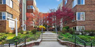 5405 9TH Street NW Gallery 3