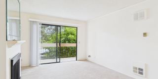 1/1 Golden Oaks Condo for rent Gallery 1