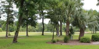 NEW REDUCED PRICE in Beautiful Sea Trail Plantation townhome NEW REDUCED PRICE in Beautiful Sea Trail Plantation townhome Gallery 35