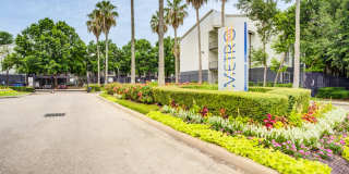 Metro 5514 Gallery 11