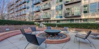 Koi Apartments Gallery 8