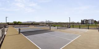 Amavida Marana Gallery 38