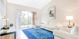 Windsor Coconut Creek Gallery 14