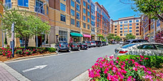 The Residence at Southpark Gallery 19