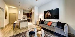 Enclave at Dominion Gallery 40