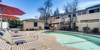 Larkspur Larkspur Gallery 4