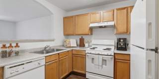 Somerset Village Gallery 1