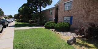 Somerset Park Gallery 7