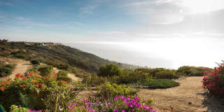 Elan Overlook Laguna Apartments Gallery 9