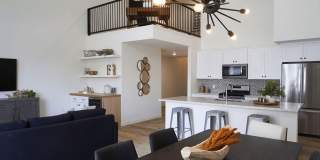 Novella at Biltmore Homes for Rent Gallery 9