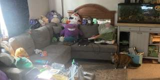3226 Mill Rd Gallery 1