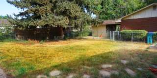 1013 Castlerock Drive Gallery 5