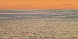 1724 E 1st Street Gallery 45