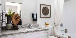 The Dixon at Stonegate Gallery 2