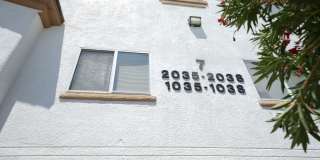 SHOWINGS AVAILABLE NOW SHOWINGS AVAILABLE NOW Gallery 1