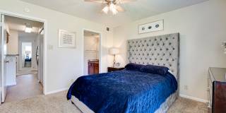 Woodland Hills Gallery 13