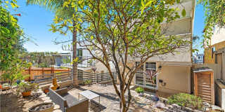 882 Acapulco Street Gallery 19