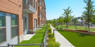 Alta at the Farm Gallery 31