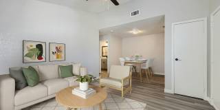 Rise West Arlington Gallery 1