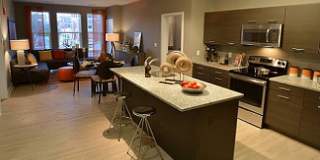 ICON Residences at the Rotunda Gallery 19