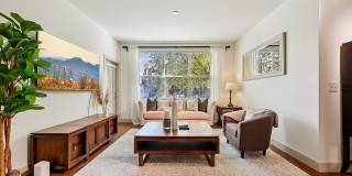 Andante at Nine Mile Station Gallery 17