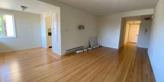 1786S Gallery 53