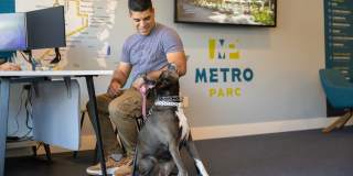 Metro Parc Gallery 66