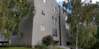 Downtown Deluxe 2 bd Penthouse! Views! NO HIDDEN FEES! Gallery 3