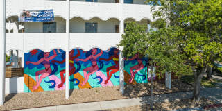 North Water Gallery 33