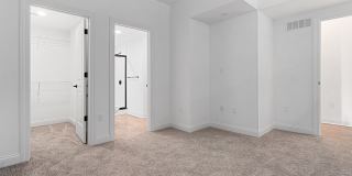 The Madison Gallery 3