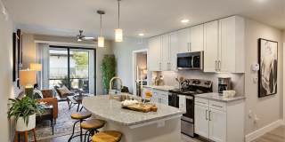 Sanibel Straits Gallery 20