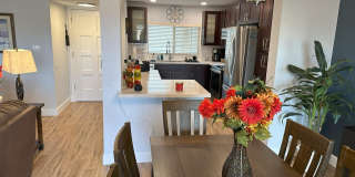 7344 N VIA CAMELLO DEL NORTE Gallery 4