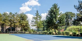 Signature Pointe Gallery 37