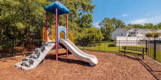 Birch Pond Gallery 15