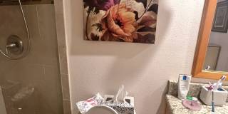 255 Dolphin Point Gallery 19