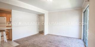 1214 W 1380 N Gallery 4