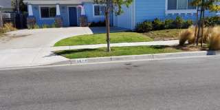 Coming soon 4 Bedroom home in the Berry Gardens Coming soon 4 Bedroom home in the Berry Gardens Gallery 1