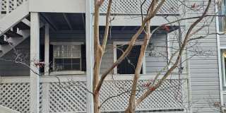 1307 Natchez Trace Gallery 1