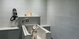 Stanza Little Italy Gallery 48