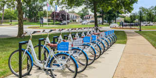 Premier at Cherry Hill Gallery 23