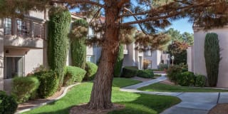 Crystal Cove Gallery 20