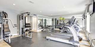 Annen Woods Annen Woods Gallery 22