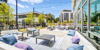 Aura Fifty4 Gallery 23