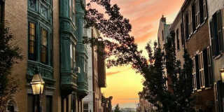 101 Myrtle St Gallery 11