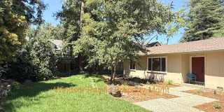 Remodeled one story home in highly desirable Alamo with huge park like yard ! Remodeled one story home in highly desirable Alamo with huge park like yard ! Gallery 4
