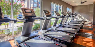 Harmony Luxury Apartments Gallery 14