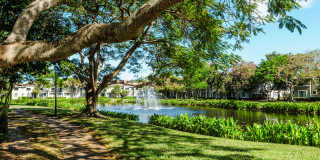 San Merano at Mirasol Gallery 13