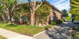 ONE11 COLLECTION - ROYAL OAK Gallery 76