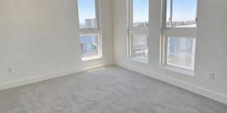 3698 vision cmn Gallery 9