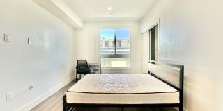 Barry Diamond Gallery 49